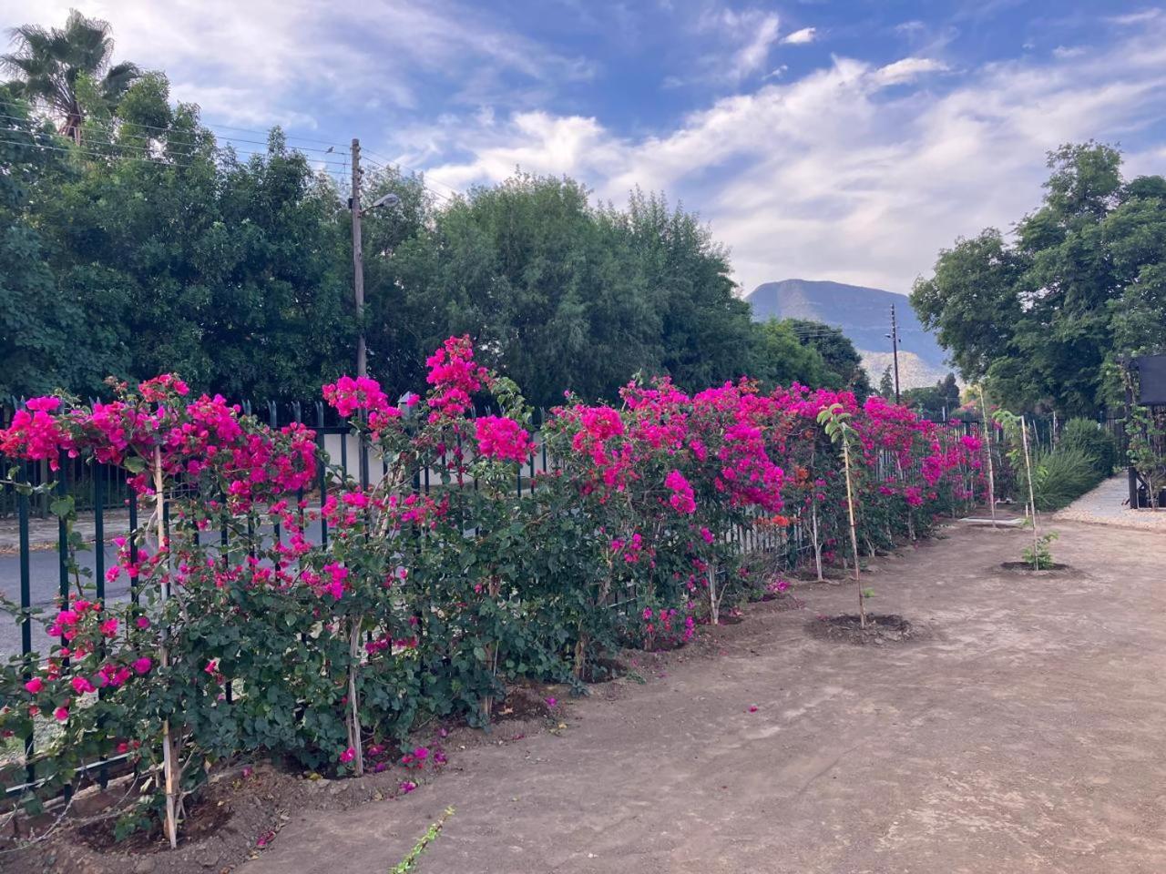 Die Dorpshuis Graaff-Reinet Екстериор снимка